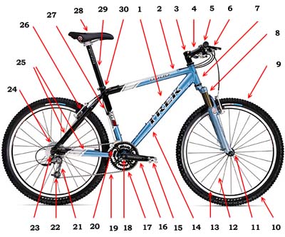 bike_structure.jpg